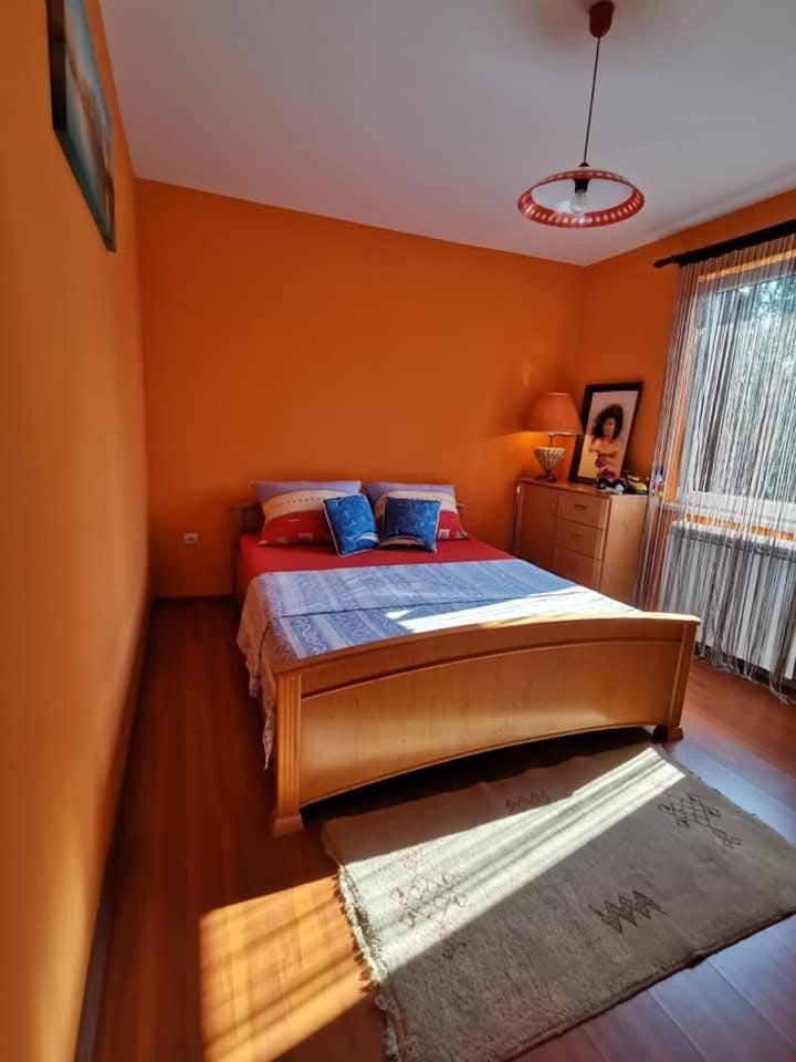 Vila Soleil Smederevo Ngoại thất bức ảnh